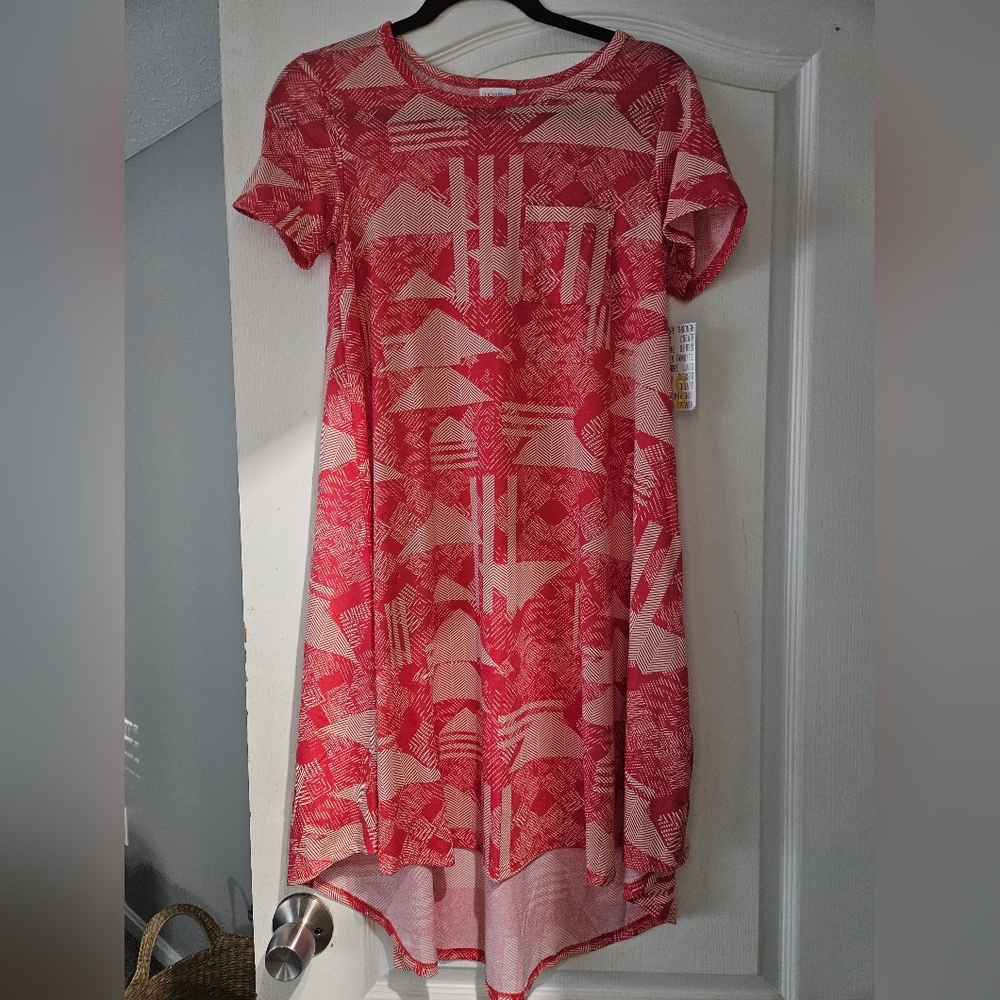 Lularoe Carly swing dress bnwt